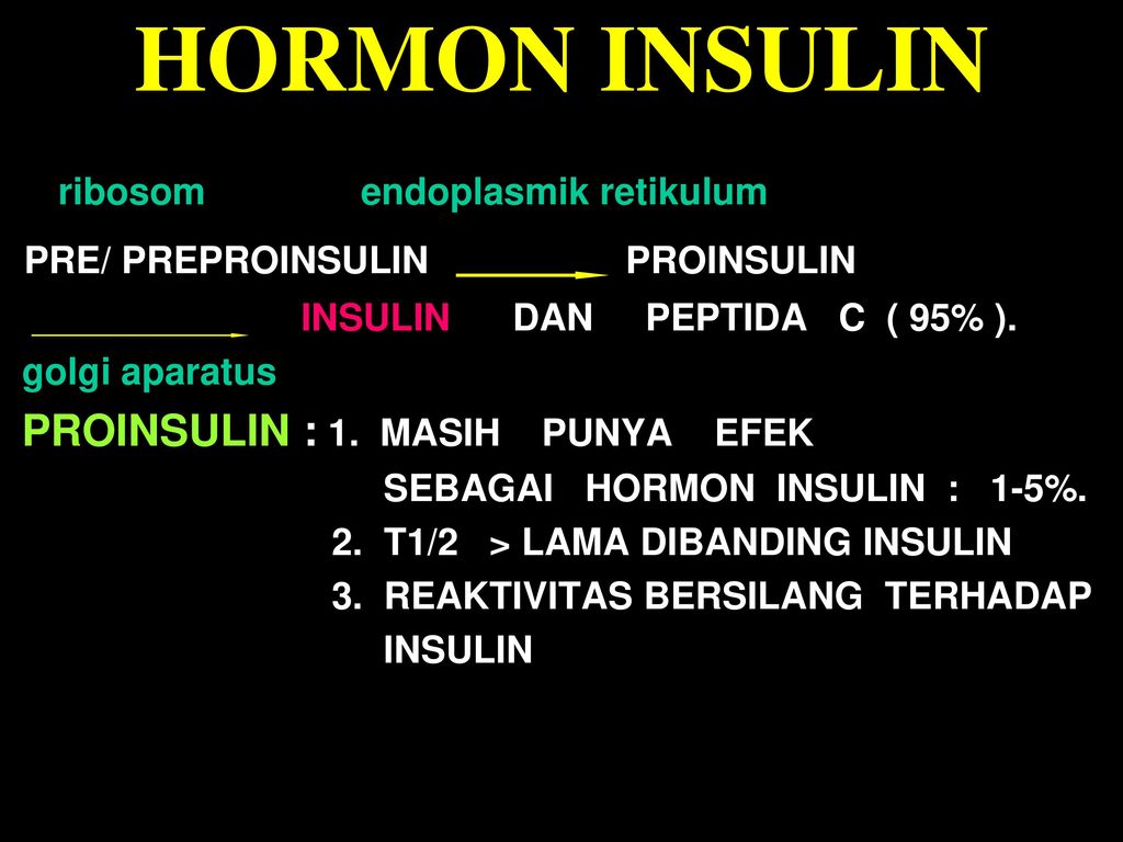 Hormon Pankreas Sel A Alfa Hormon Glukagon Sel B Beta